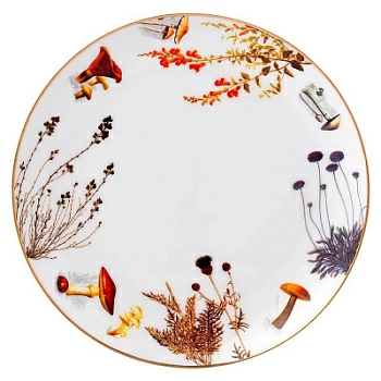 Полноразмерное изображение Полноразмерное изображение